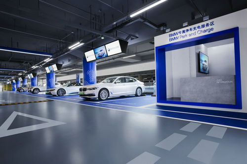 寶馬攜手國網電動汽車公司，深化技術開發戰略合作