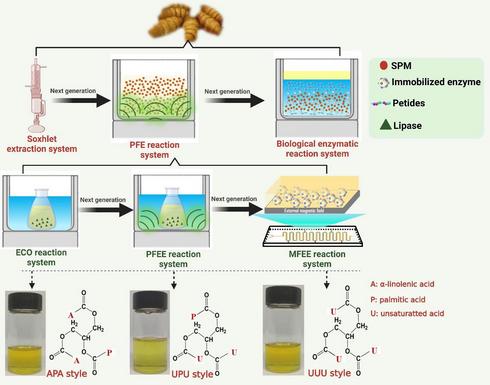 廣西蠶業(yè)信息網(wǎng) 網(wǎng)絡(luò)科技驅(qū)動下的技術(shù)創(chuàng)新與發(fā)展